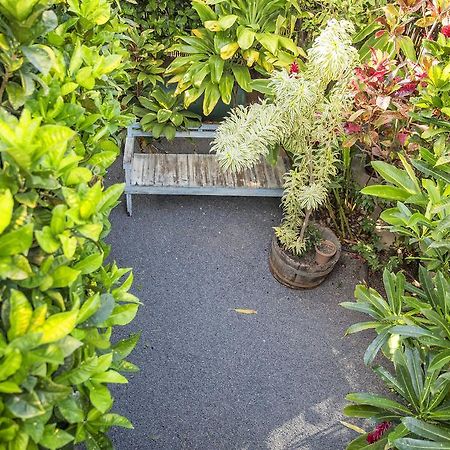 Nalu Kai Lodge Paia Hotel Zewnętrze zdjęcie