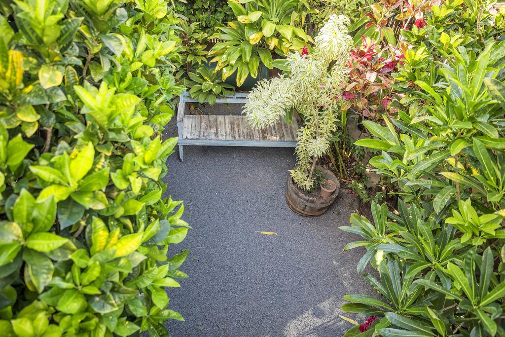 Nalu Kai Lodge Paia Hotel Zewnętrze zdjęcie