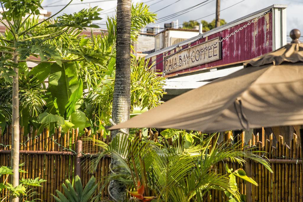 Nalu Kai Lodge Paia Hotel Zewnętrze zdjęcie