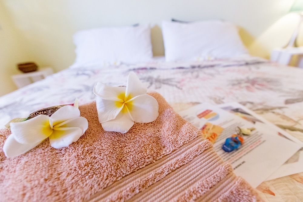 Nalu Kai Lodge Paia Hotel Zewnętrze zdjęcie
