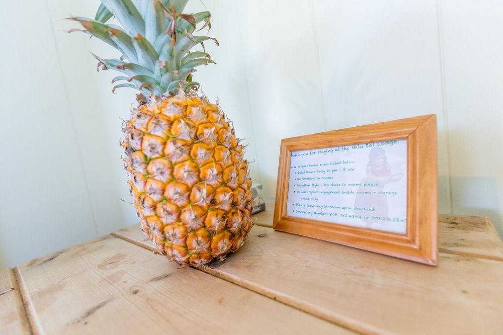 Nalu Kai Lodge Paia Hotel Zewnętrze zdjęcie